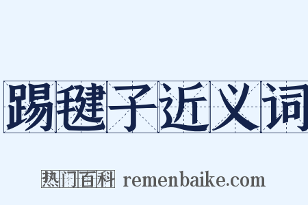 踢毽子近义词是什么意思的图片